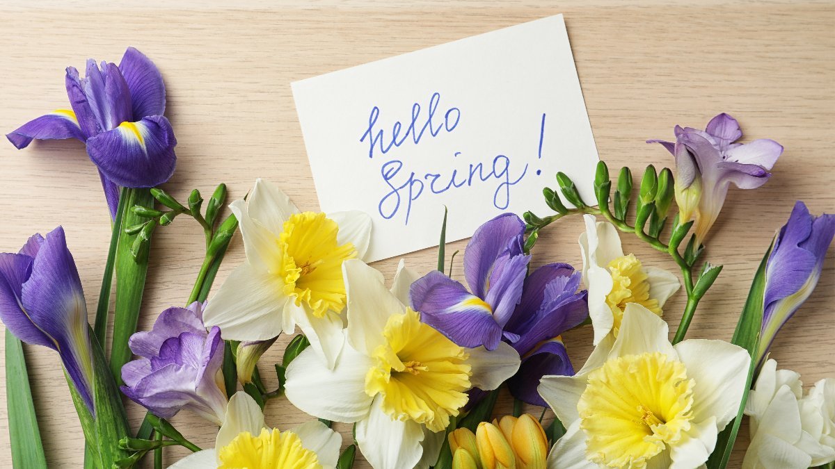 Frühlingsanfang – Kleidung, Änderungen und Reparaturen im Aufbruch