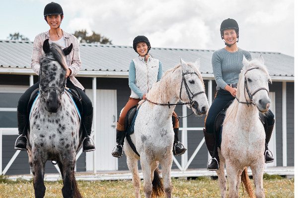 Pferdesport - Änderungen und Reparaturen