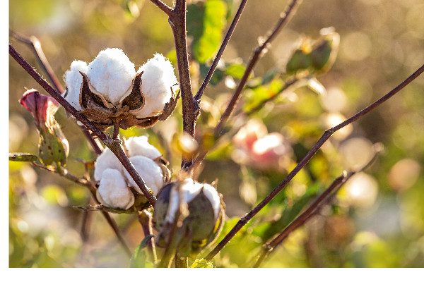 Munich Fabric Start – Das Herz der europäischen Stoffwelt